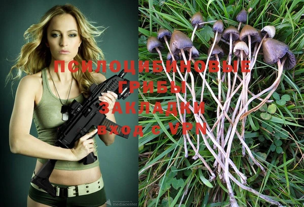 mix Горняк