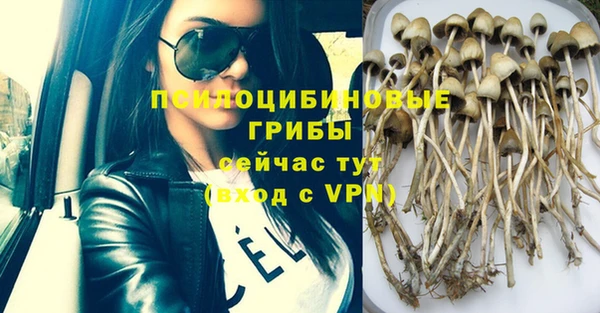 mix Горняк